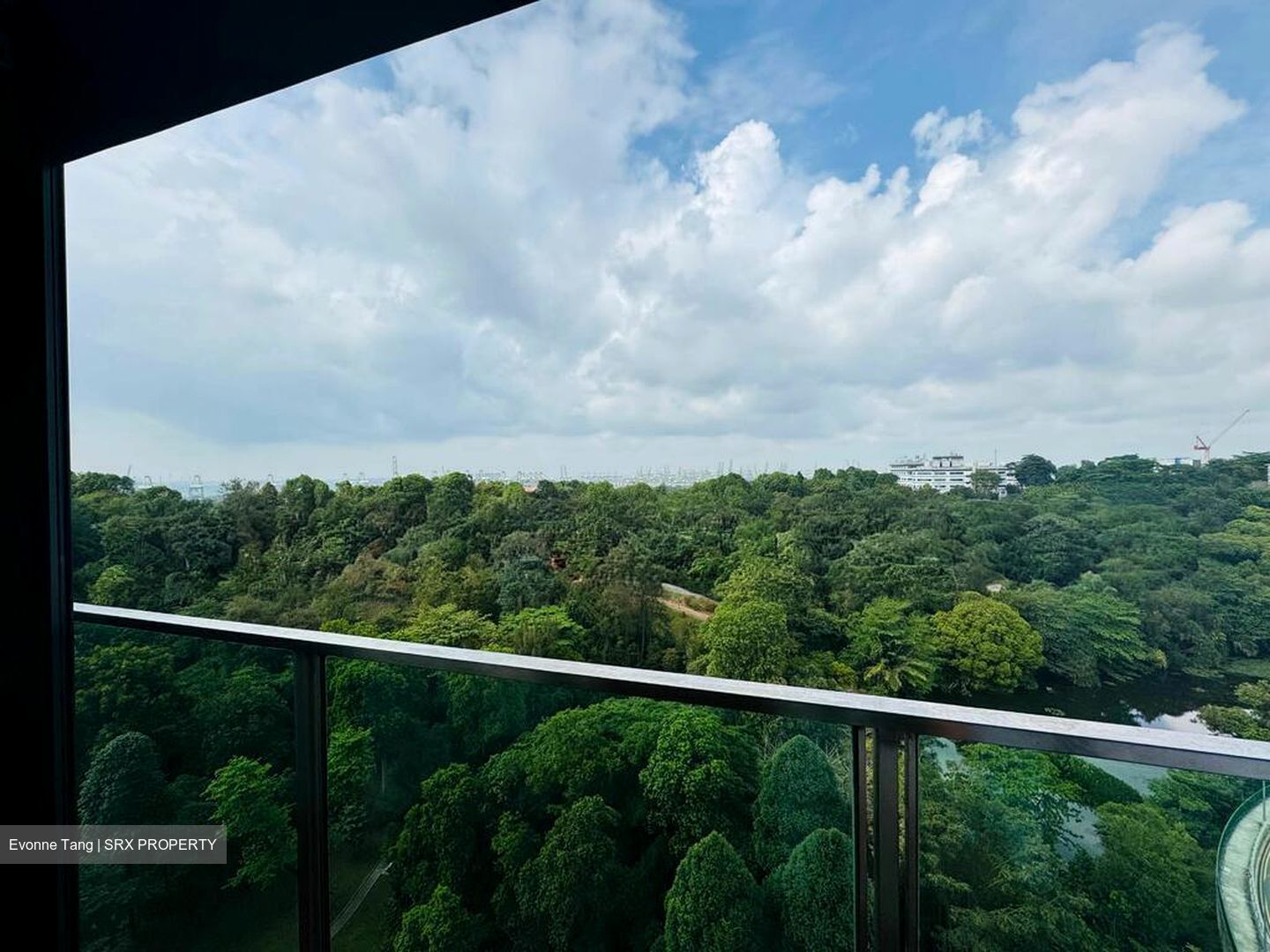 Normanton Park (D5), Apartment #569688981